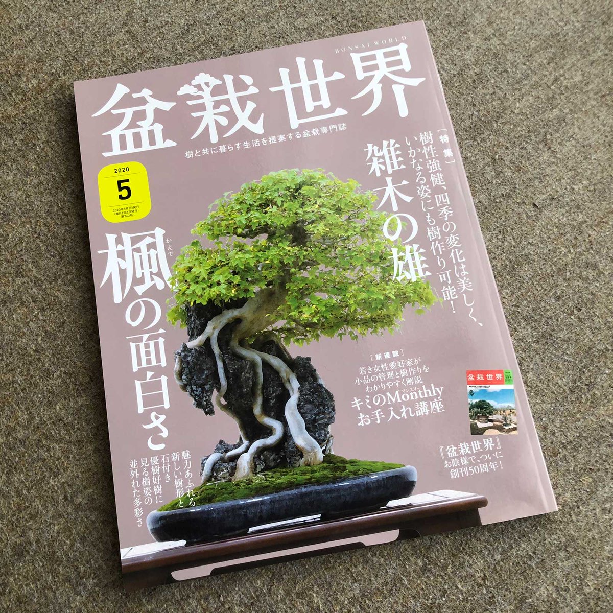 【盆栽世界5月号は本日4/3発売!】
盆栽エッセイ漫画『そうして今日も水をやる』。今回はツイ盆展の中の人でもある私の「飾ること」への想いを語るよ。

本誌はなんと創刊50周年!長く愛される雑誌での連載はほんとにありがたいことです。特集は「楓の面白さ」「雑木の雄」。 #水やる #盆栽 #bonsai 