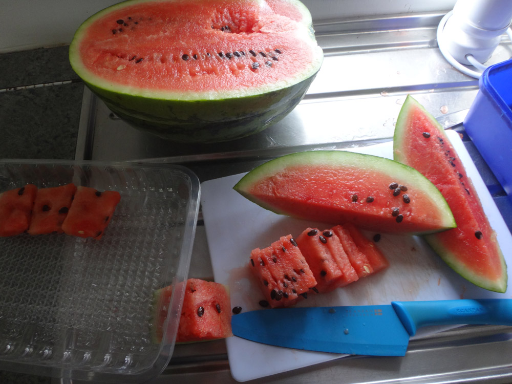 hotgirlscooking's tweet photo. Frozen #watermelon makes a great #treat during these long #coviddays - take some out when you feel like a break.
Chop & layer when freezing for easy access.
Keeps for ages and is a #delicious #fruittreat
One of your 5+ a day.
#hotgirlscooking #cookingforreal #covidmeals https://t.co/AeyrG4ddCG