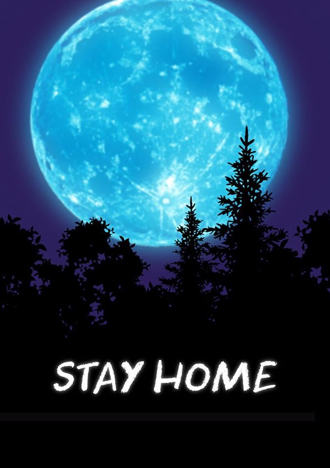 harsh1k's tweet photo. A few more #MoviePosters #StayHome #FightCorona #Art4Corona https://t.co/GmWJ86wFjR