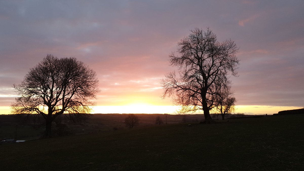 Helen Yeulet tweet media