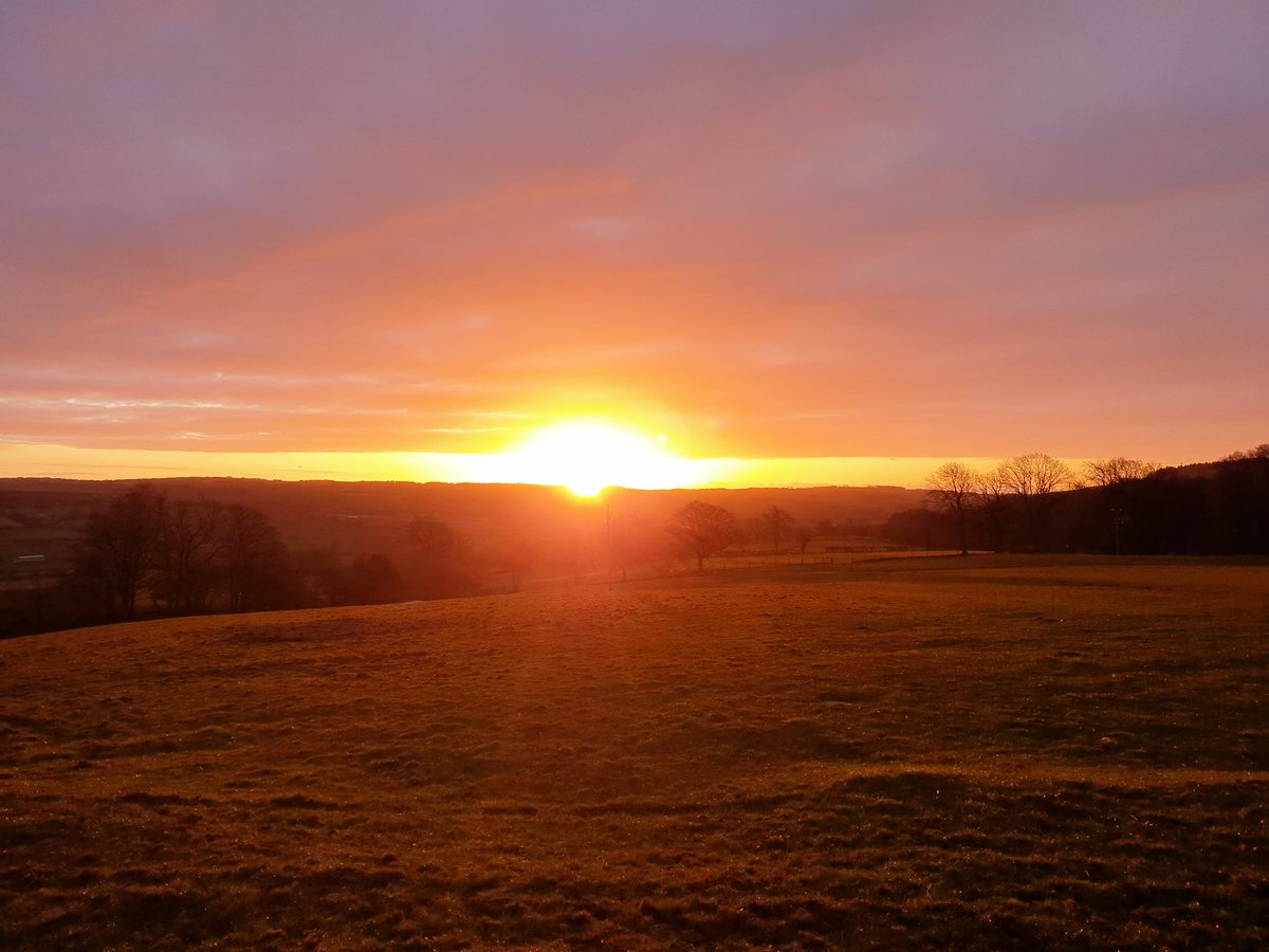 Helen Yeulet tweet media