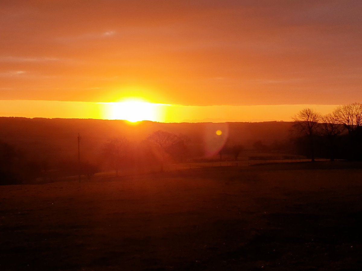 Helen Yeulet tweet media