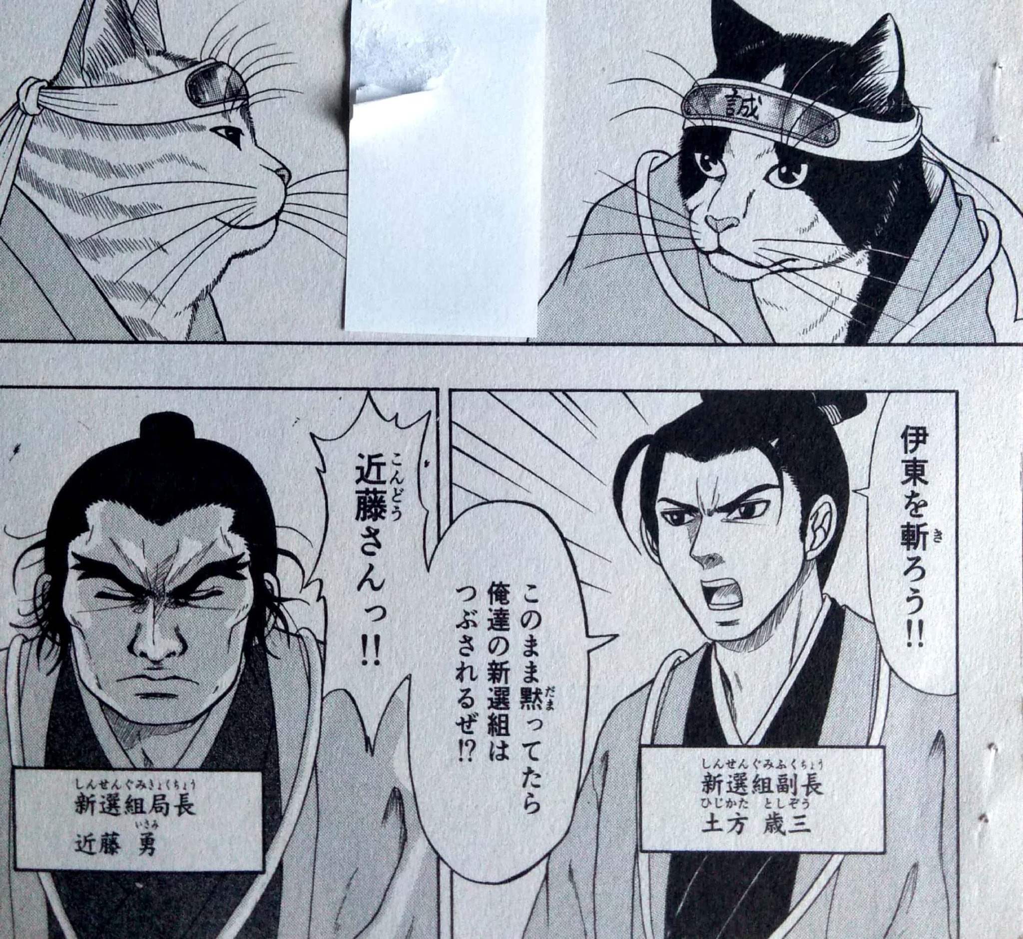 イワオ めしねこ 2巻発売中 猫マンガ ϖ