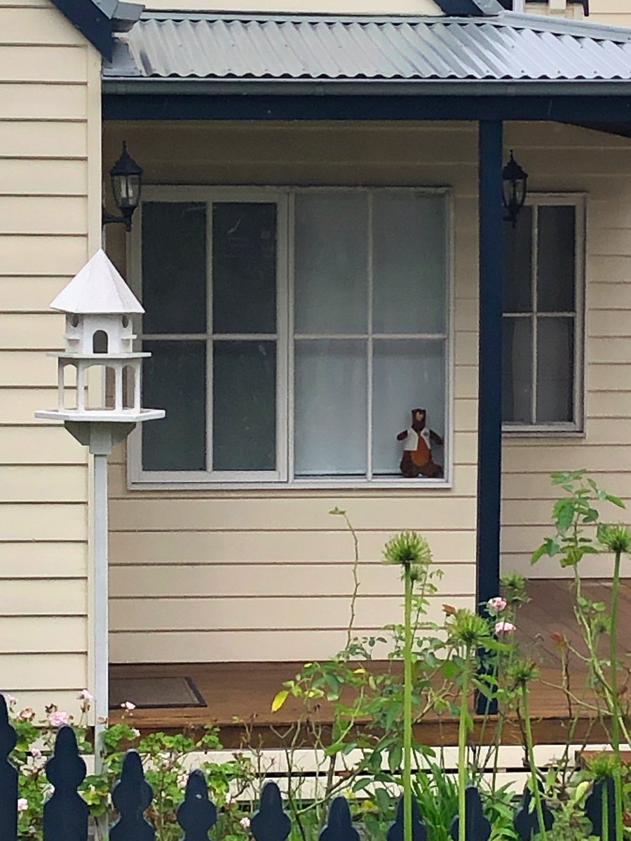 MeganPTweets's tweet photo. On a walk earlier I saw this bear in a neighbour's window and it made me smile :) #wherescodey. If you haven't heard why people are putting bears in their windows check out this article https://t.co/ZkGxD2qPBL https://t.co/TsGKmuxogy