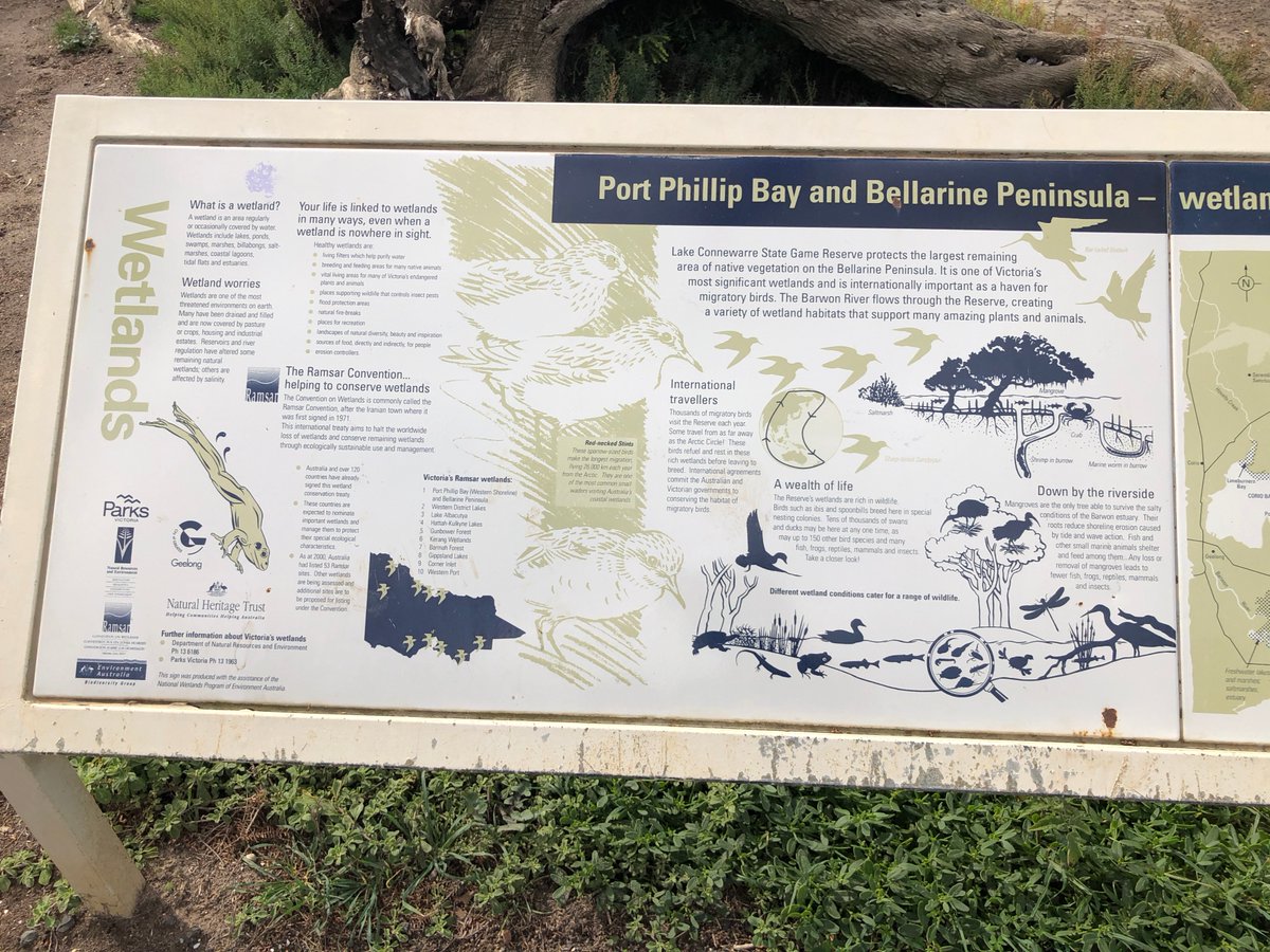 BentoFire's tweet photo. @LTuosto @amandavitalee  We all went for a walk by the river today and Pip took my picture while I was reading about the local area.  #stuckinAustralia #makingfun https://t.co/Y6XqACquaU
