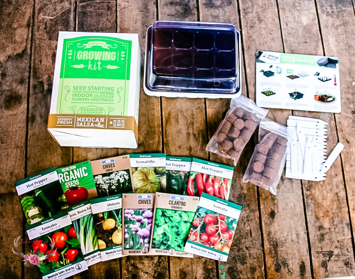 InthewoodsJenn's tweet photo. Looking for a fun idea to do create with the kids? How to Plant a Salsa Garden with @TrueLeafMarket #AD https://t.co/wUUKVulJMy #plantingwithTLM #garden #gardenwithkids #salsagarden https://t.co/EMSMv22LYF