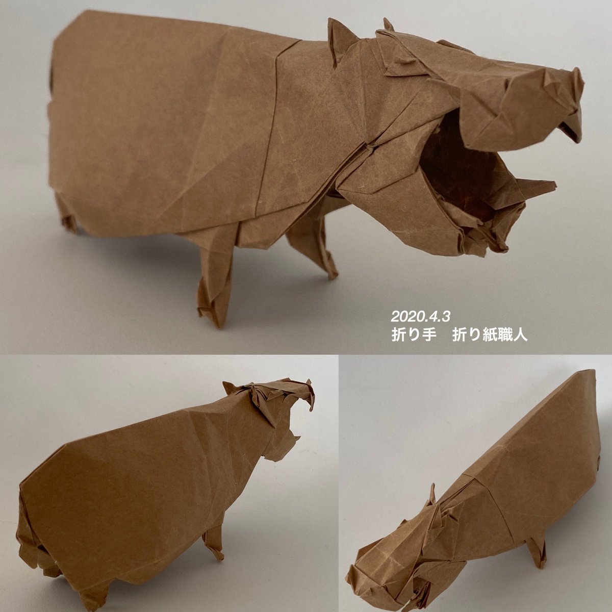 折り紙職人 ユ テヨンさん Qpemfh95yong の カバ Hippopotamus Yoo Tae Yong 30 ビオトープ使用 高雅な折り紙 より 最初 普通紙25 で折ったら薄くて小さくて上手くいかなかった 再折りしたけど まだまだ不満 難しいです 折り紙作品