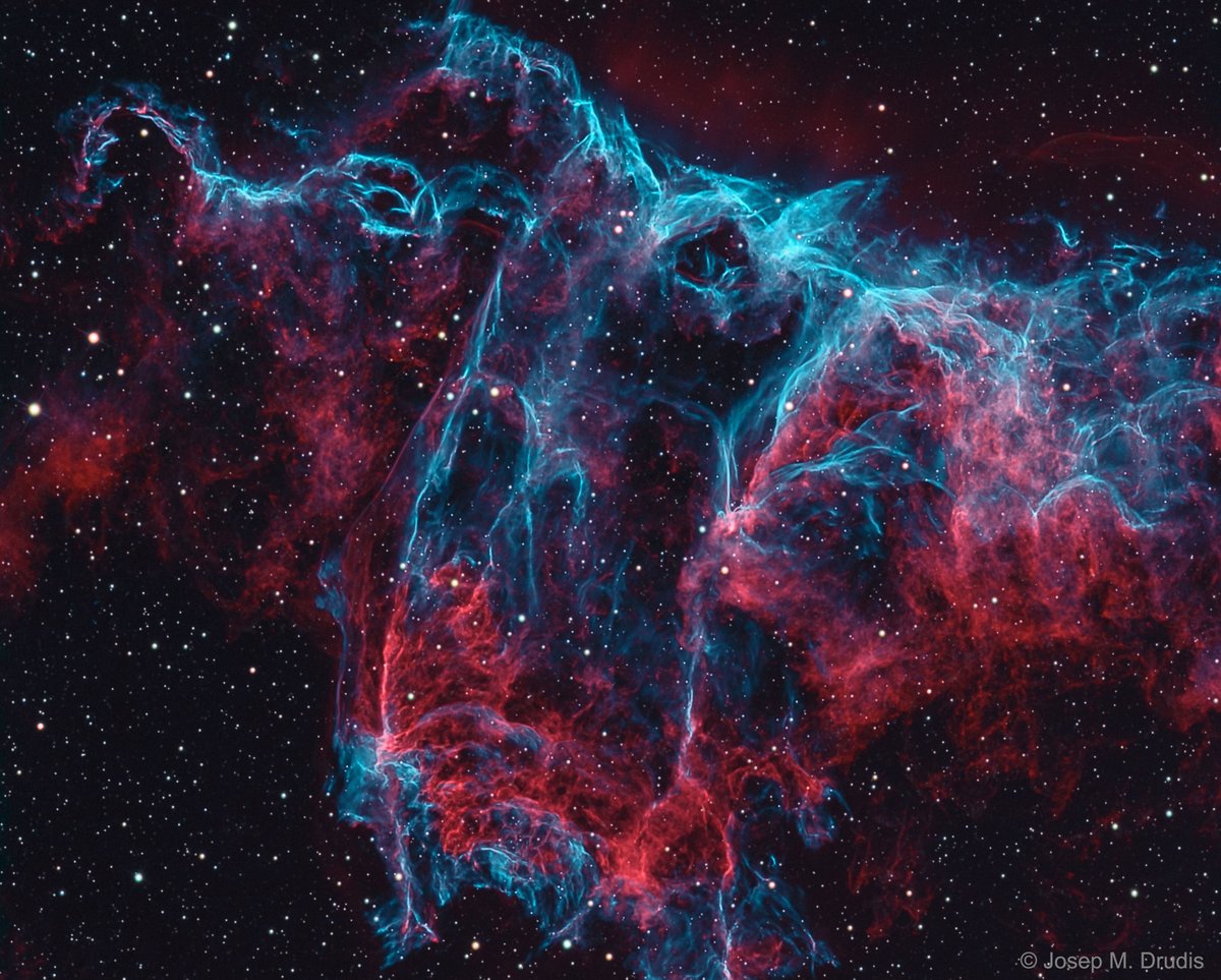 Space photo moment - NGC 6995: The Bat Nebula by Josep Drudis ( https://apod.nasa.gov/apod/ap191125.html)