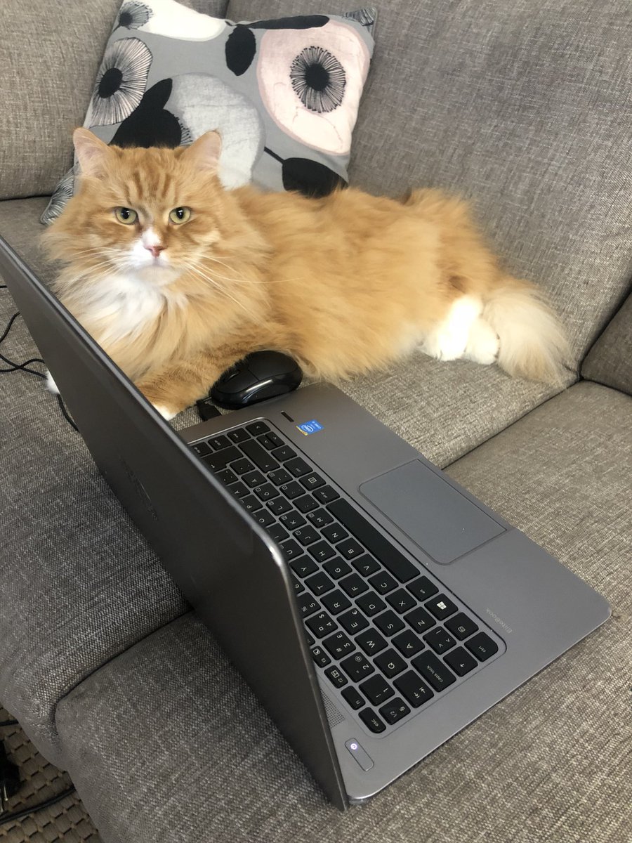 #Elämäkuvina
Päivä elämästäni 5/7. 
Ei sanoja eikä ihmisiä. 
Minut haastoi <a href="/UllaHytti/">Ulla Hytti</a> <a href="/RLaihinen/">Riikka Harikkala-Laihinen</a> <a href="/JeskanenKirsi/">Kirsi Jeskanen</a> 
Minä haastan <a href="/KatjaLahikainen/">Katja Lahikainen</a>