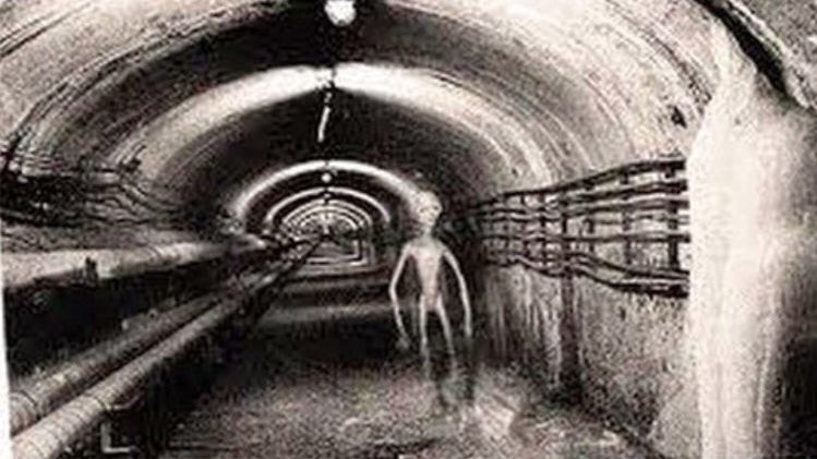 There are other top secret facilities on the Paranormal Highway. Places such as Area 51 and the underground base in Dulce, New Mexico. According to conspiracy theorists, deep beneath the earth, horrifying genetic research is being done there with the help of extraterrestrials.