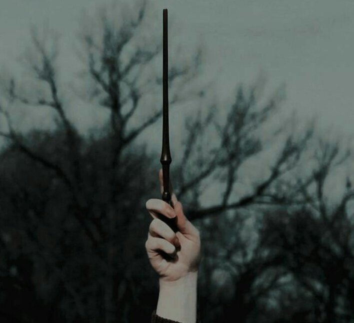 Chimon Wachirawit Ruangwiwatー Slytherin. ー c h a o t i c. ー even Filch is so done with him.ー potions is his strength.ー he once released tons of chocolate frogs in the common room that made too much chaos.ー his family were Death Eaters and he swore not to be one.