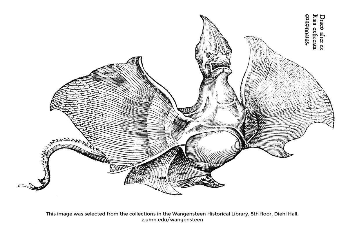 外出できないウサをぬりえで解消 Togetter