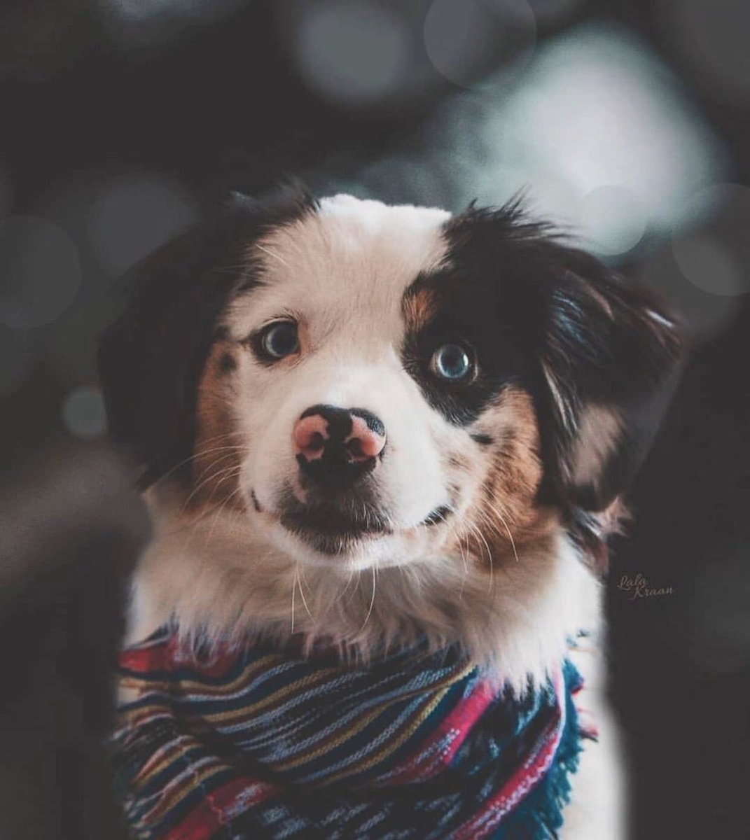 Günaydınlar Efendim 😊 
#gunaydin