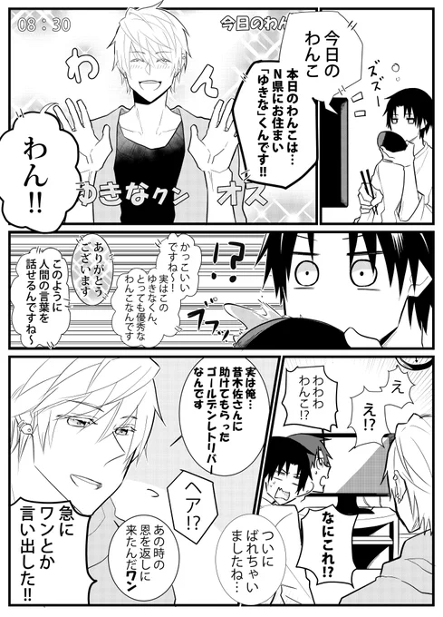 今日のわんこ 
