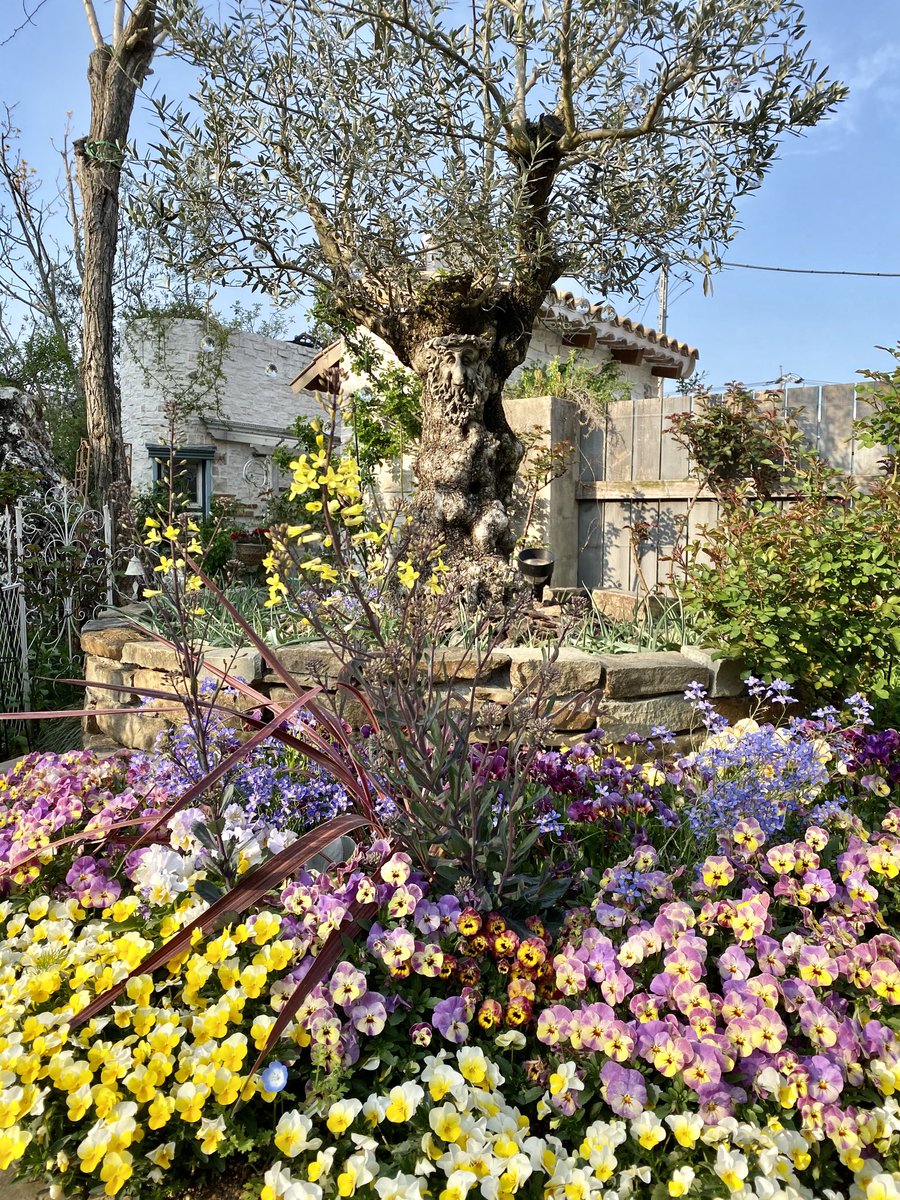 グリーンフィンガーカフェ Ar Twitter 花柄摘み 満喫中 カフェ ランチ Garden おしゃれ ガーデンカフェ 埼玉