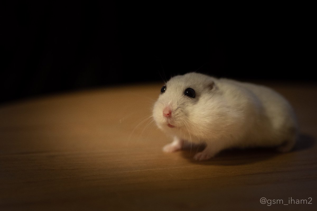 ぱる 目がうるうるしてるように見える