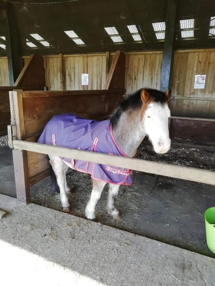 Abingdon RDA tweet media