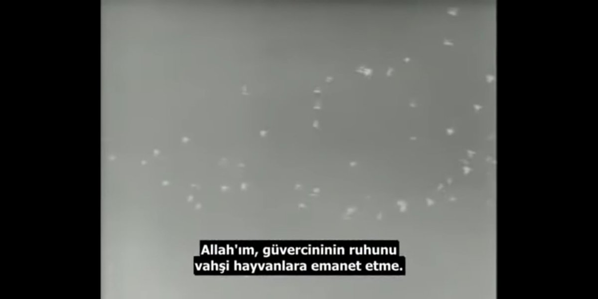 bluewindymind's tweet photo. Ev Karadır, (خانه سیاه است) https://t.co/QbAvKKzQdp