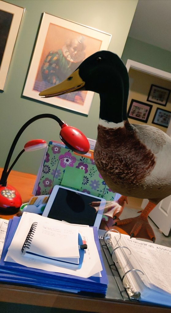 MrsMagyar's tweet image. Remote Instructional Support has me testing products and resources. Look who joined me #GoogleAR #JustGoogleIt from #mobilephone #PreparingForMyDay @AdelsteinRachel @Principal_HFIS @HFFMCSD