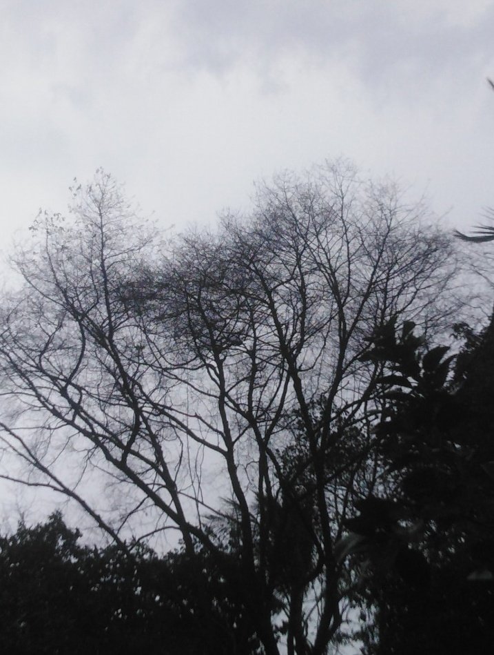 nut_jer's tweet image. You never knew how much it hurts until it hurts you. 🌒⚡

เราไม่มีวันเข้าใจความเจ็บปวดของคนอื่นหรอกจนกว่าเราจะเจอด้วยตัวเอง