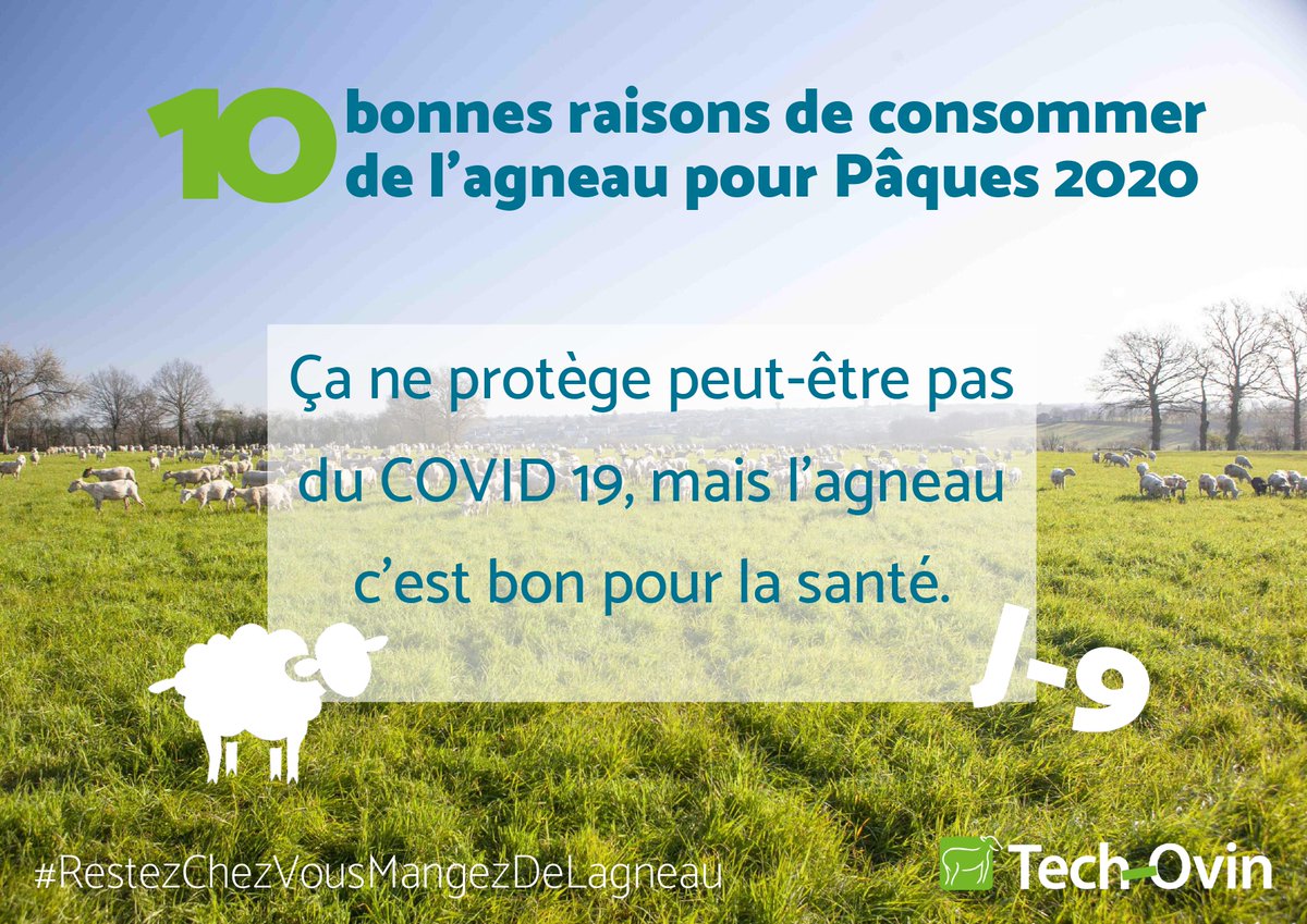 Tech_Ovin's tweet photo. 🐑🐑🐑[De l’agneau pour Pâques]🐑🐑🐑

Qui a dit que manger de la viande n'était pas bon pour la santé ?
Voici une étude menée par l '@InstitutElevage  et Le Ciirpo qui prouve le contraire.

https://t.co/XgV6xpjohO

#RestezChezVousMangezDeLagneau https://t.co/Xb8z5sv1cs