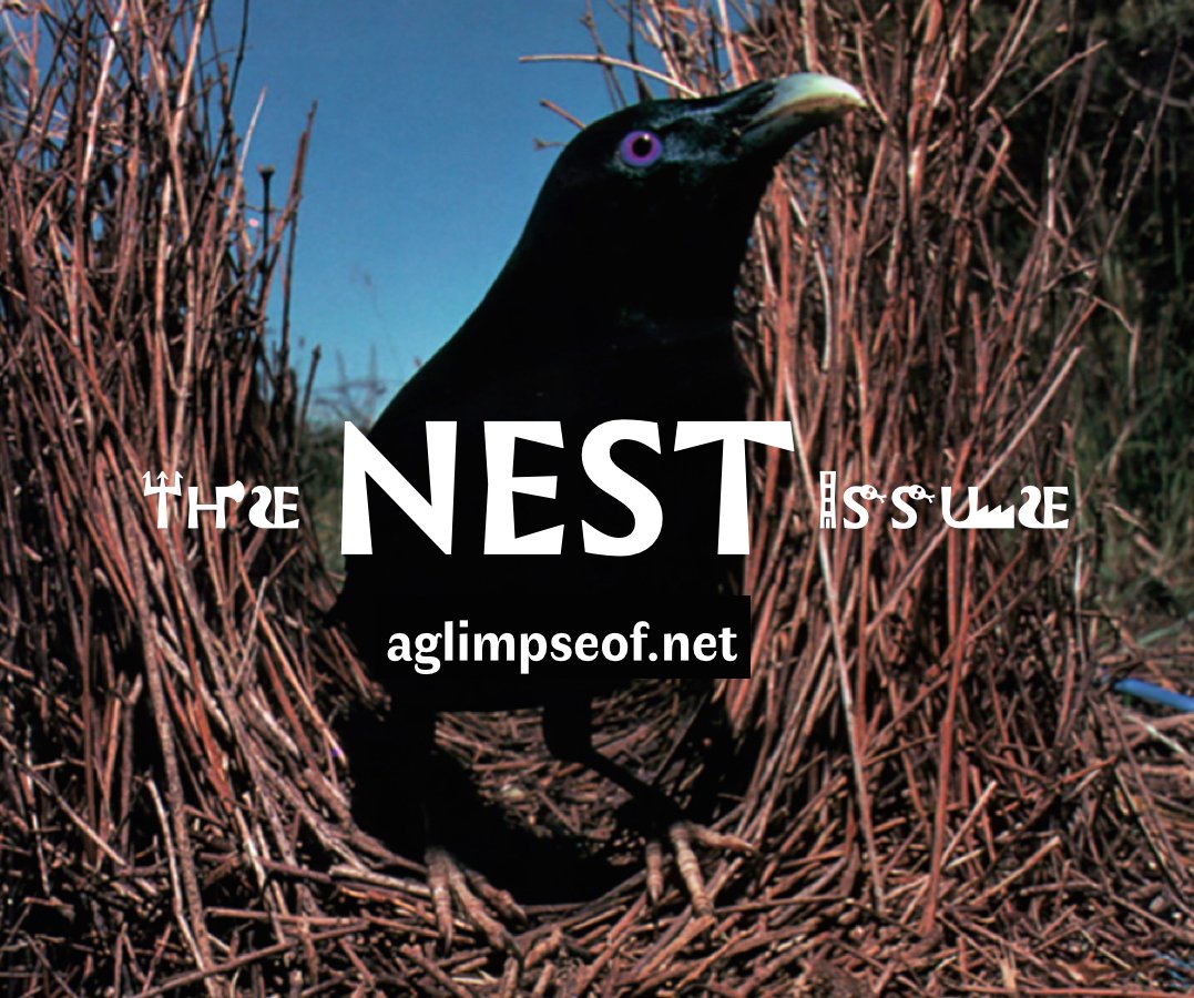 aglimpseof's tweet photo. THE NEST ISSUE

New Visual Poem | John Morgan @amannamedalobar, HERE | EΔΩ 

https://t.co/ntCNbbkjfi

#aglimpseofnet #TheNestIssue https://t.co/6gAILfNHPA