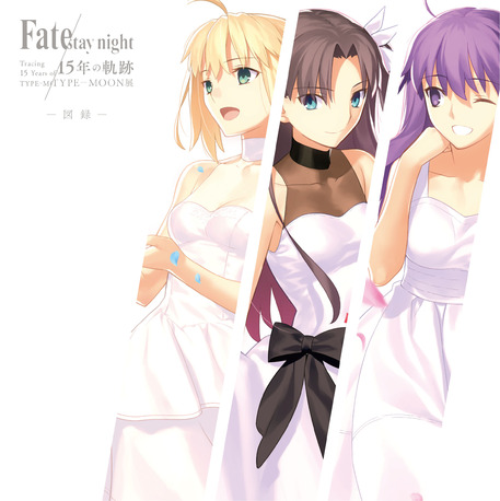 Type Moon展 Fate Stay Night 15年の軌跡 図録 に収載されたメルブラの解説に格ゲーシミュレーターmugenの画像が使用される Togetter