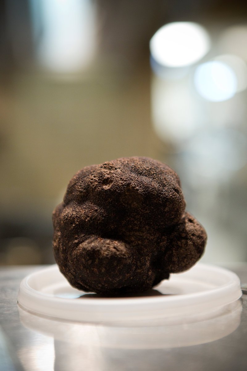 GEV Magazine tweet media