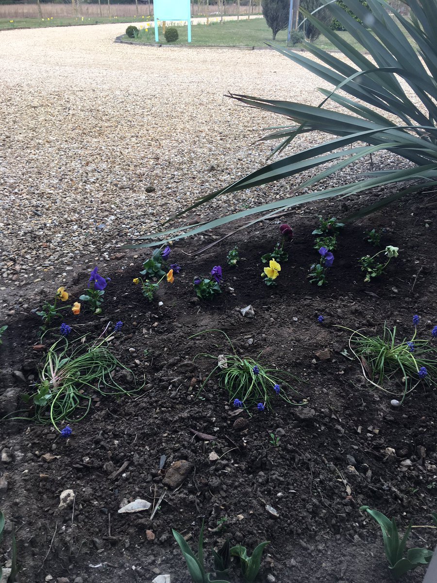 Ash Tree Barns Norfolk tweet media