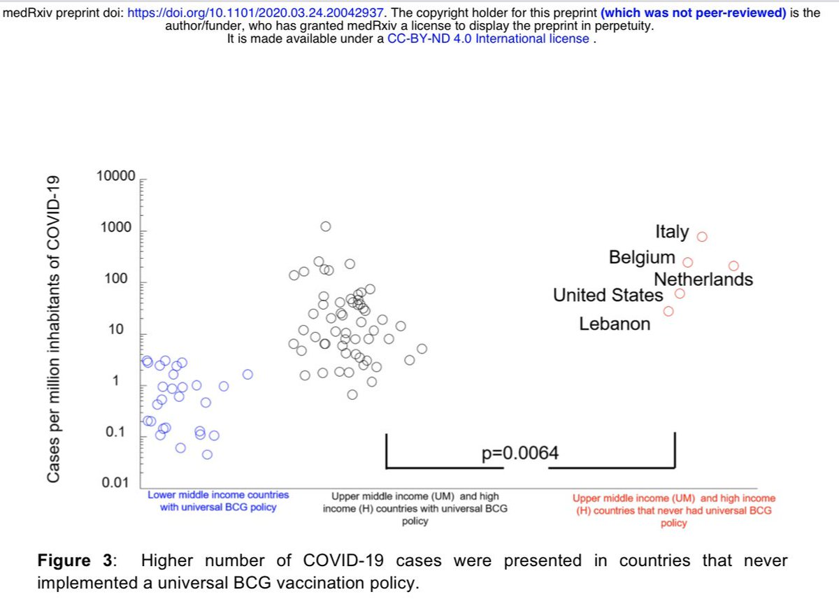 ARRODRIGUEZMD's tweet photo. BCG could be protective toward COVID-19. Open opportunity for research.
La BCG podría ser protectora contra el COVID-19. Oportunidad abierta para investigar.#COVID19 @CAU_URO https://t.co/tCL2pbFR4s