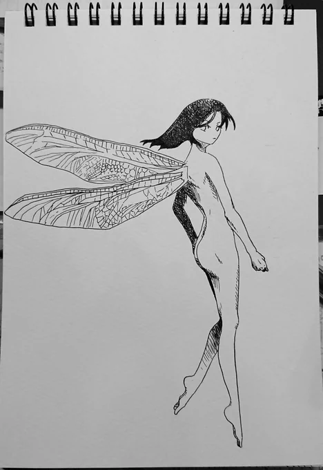 蜻蛉羽の妖精 