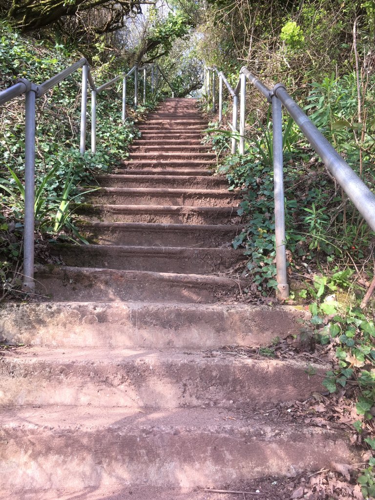 Barbaraswalking's tweet photo. Walk to river beach, #LuxtonSteps back up after quick check to see if anyone coming down...number of steps walked increased by marching around kitchen making GranHarveybuns - 1st attempt for years! #roamsweethome @DevonRamblers @RamblersGB https://t.co/arsf4TfQKG