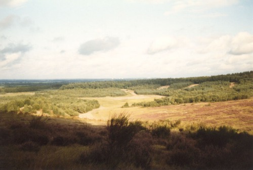 Gemeente Rhenen sluit zaterdag 4 en zondag 5 april een aantal parkeerplaatsen en toegangswegen rond druk bezochte gebieden. Dit vanwege de verwachte weekenddrukte en om daarmee verspreiding van het coronavirus te voorkomen. 
bit.ly/2X7wXQe