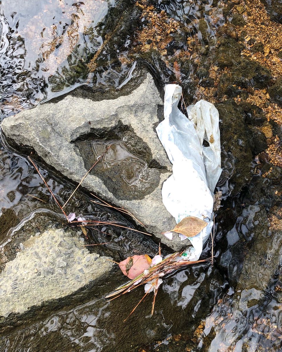lionelpiguet's tweet photo. People can be utterly shite. The police should fine 100000 yen (about 855 euros) people throwing their garbage in the nature. It would stop people from being garbage. #CleanYourShit #CleanYourGarbage #KeepEarthClean https://t.co/jBFMPEuOPQ
