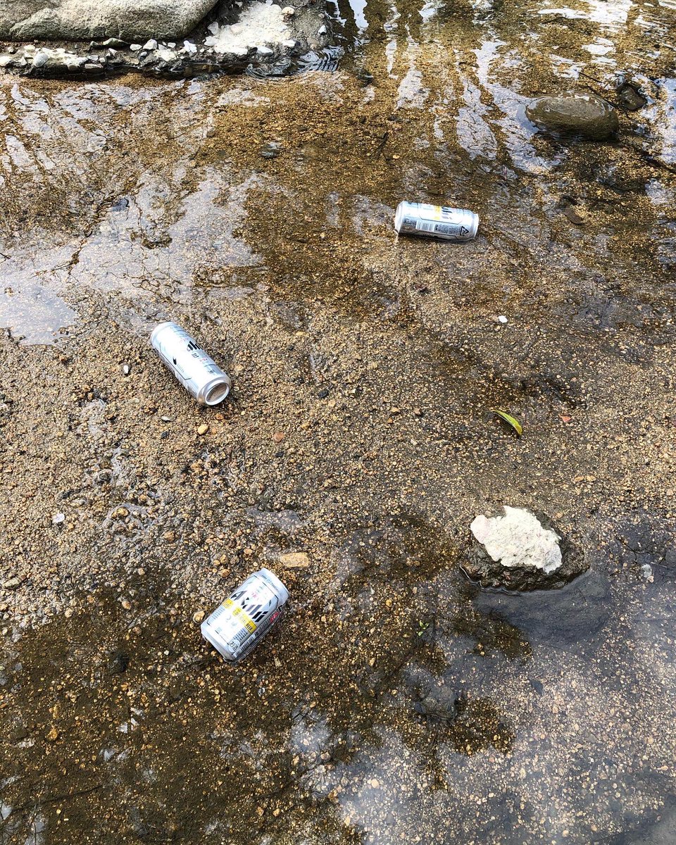 lionelpiguet's tweet photo. People can be utterly shite. The police should fine 100000 yen (about 855 euros) people throwing their garbage in the nature. It would stop people from being garbage. #CleanYourShit #CleanYourGarbage #KeepEarthClean https://t.co/jBFMPEuOPQ