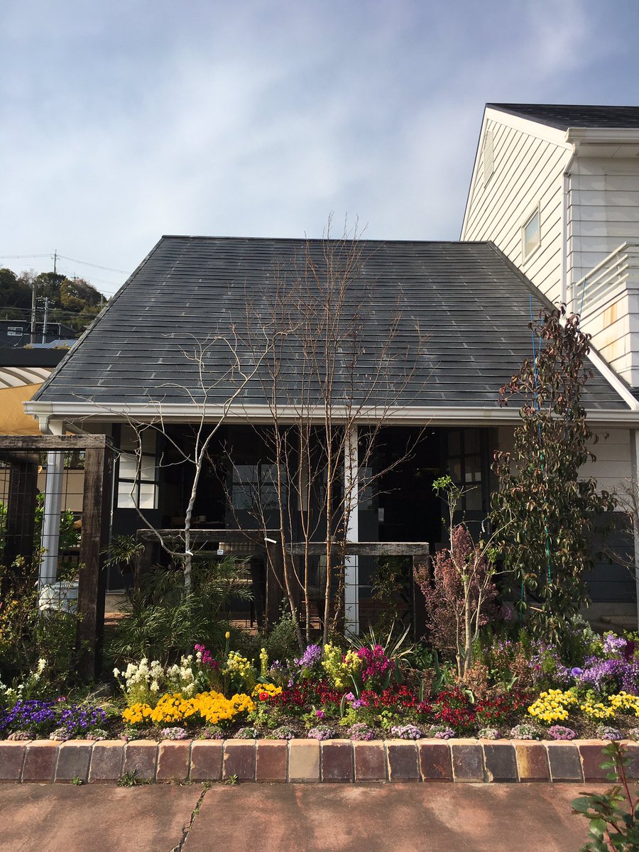 Mosslight Led Led照明付テラリウム 宝塚の陽春園パルコジョキに展示しているモスライトを 小さな花が咲くベコニアとセントポーリアが入った作品に入れ替えてきました 小さな可愛い花が咲く予定です 近くの方は覗きに行ってくださいね T Co