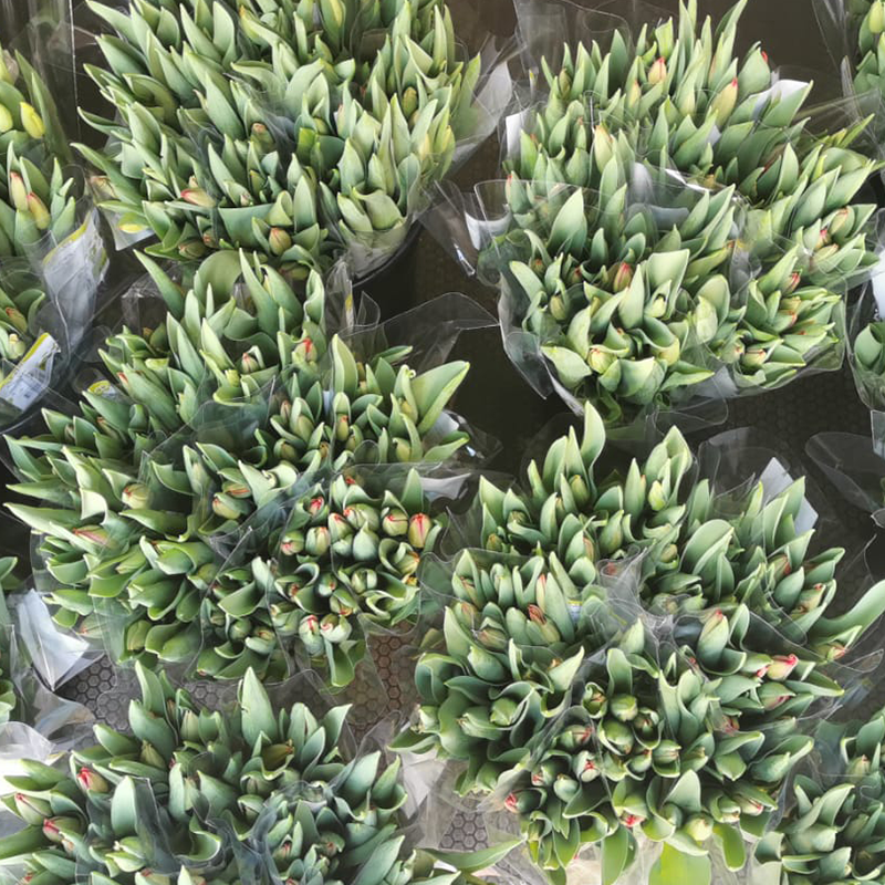 Event Creators tweet media