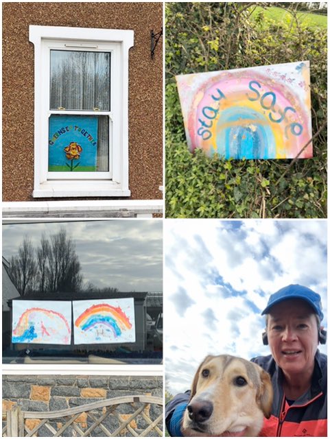 stpierjane's tweet photo. Mabel took me for a run round the quiet roads for my ⁦@EPIC_Purpose⁩ #lockdown exercise today. Fabulous pictures everywhere 👏🏻🇬🇬
#GuernseyTogether 💚 https://t.co/3sWJgbSYur
