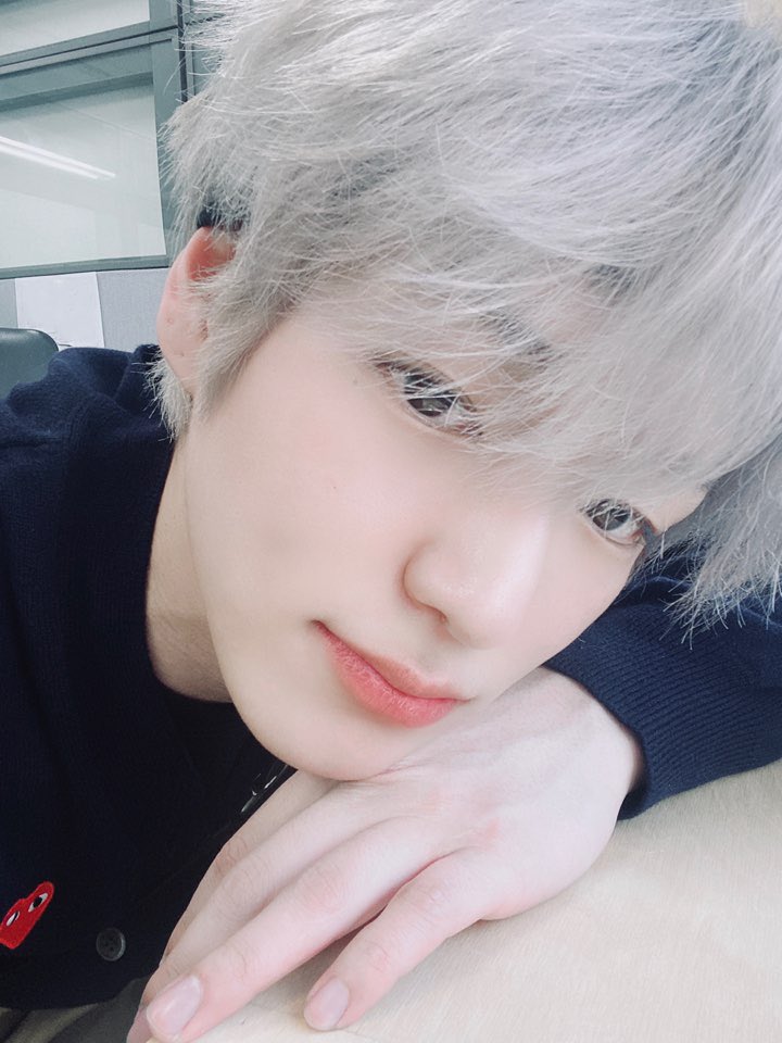 NewWorld_VICTON's tweet photo. [#찬]
나른하다아아....🌼🌸
앨리스는 모할까아....🤍-@ https://t.co/hnfrHy9u5x