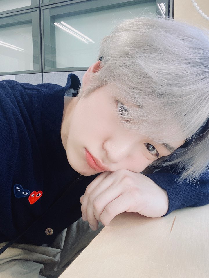 NewWorld_VICTON's tweet photo. [#찬]
나른하다아아....🌼🌸
앨리스는 모할까아....🤍-@ https://t.co/hnfrHy9u5x