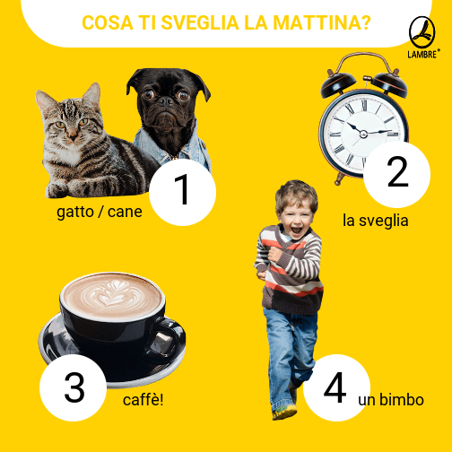 Lambre Italia tweet media