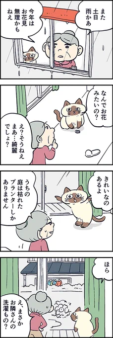 おはなみたいの～??第58話「お花見」『猫のおふくちゃん』の最新話は毎週金曜日に連載中⇒(猫のおふくちゃん 