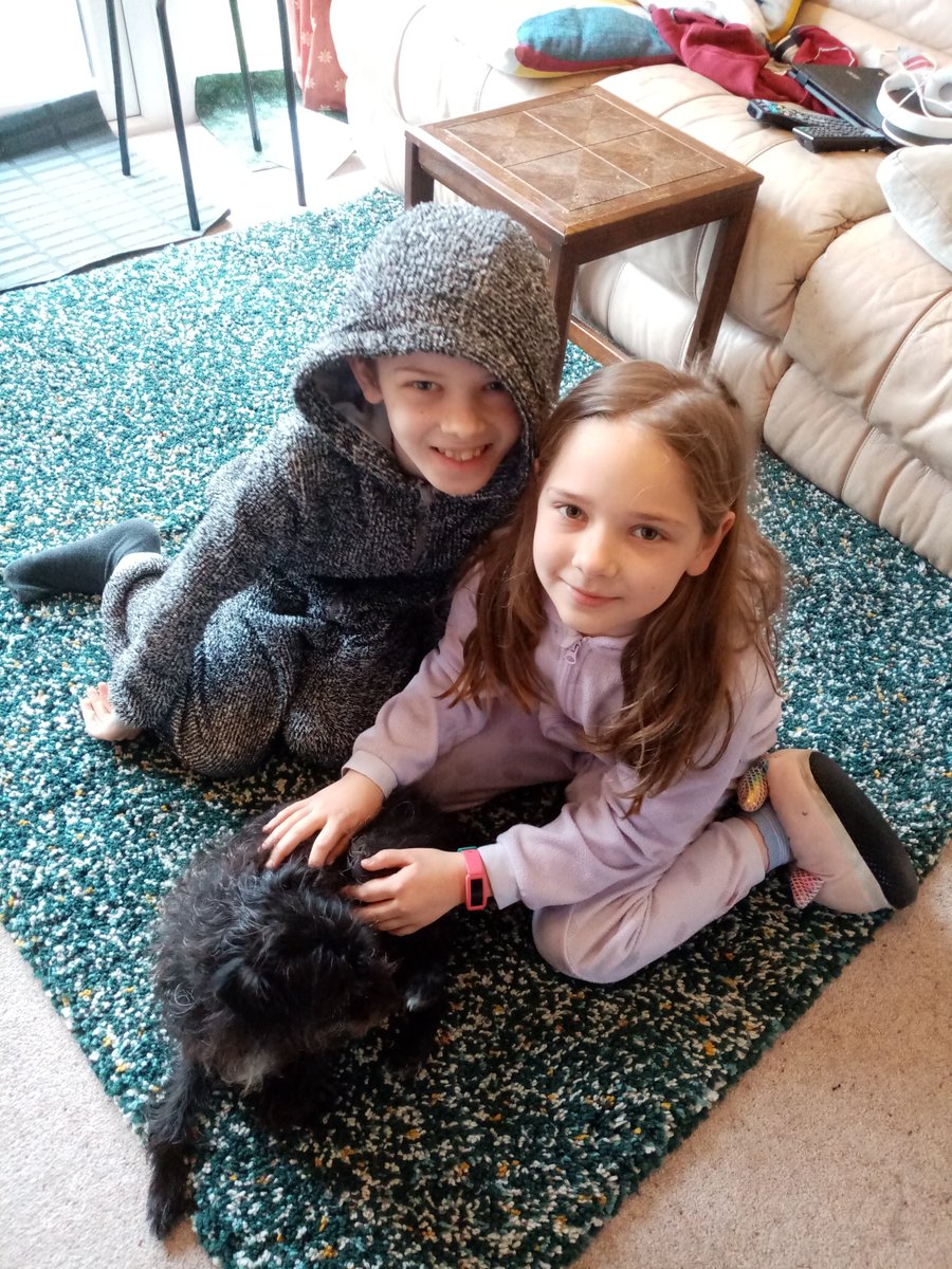 klr_thomas's tweet photo. @thebodycoach Alex and Lucy in Nottingham in onesie (and Arthur the dog, dressed as a dog) 🐕 https://t.co/ZLH0esmrVc