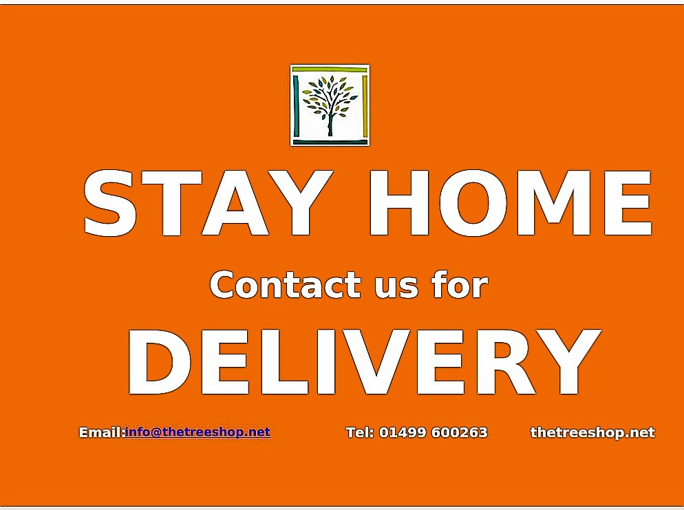 thetreeshop's tweet photo. Home deliveries starting today 🌿🌿🌿 #stayhome #HomeDelivery #shoplocal https://t.co/tSCN8HIUkB