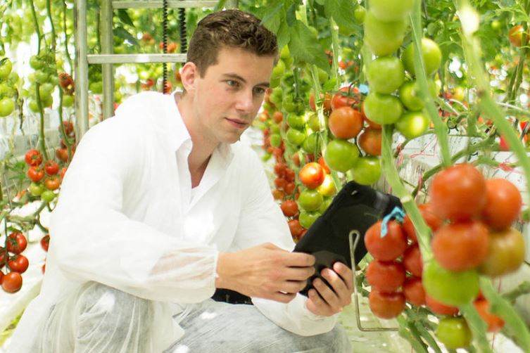 WorldHortiCentr's tweet photo. Onze partner @Inholland organiseert morgen een online open dag! Via livestreams met studenten en docenten, online presentaties en een virtueel rondje door de locatie kunnen toekomstige studenten toch een goed beeld krijgen van groene studies op het HBO. 

https://t.co/TWbGhIleZf https://t.co/8hlUs7bEET
