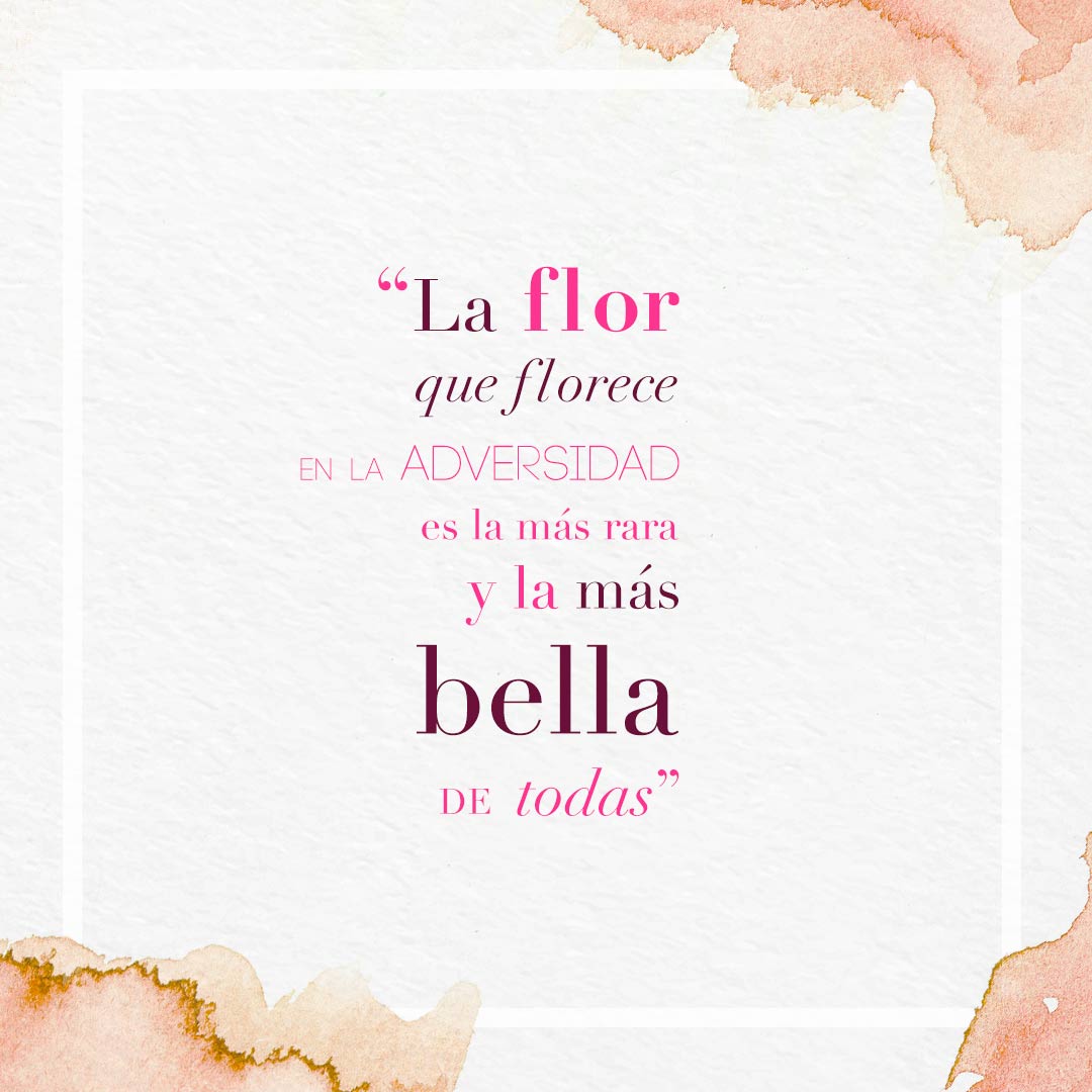 #algobonito #yomequedoencasa