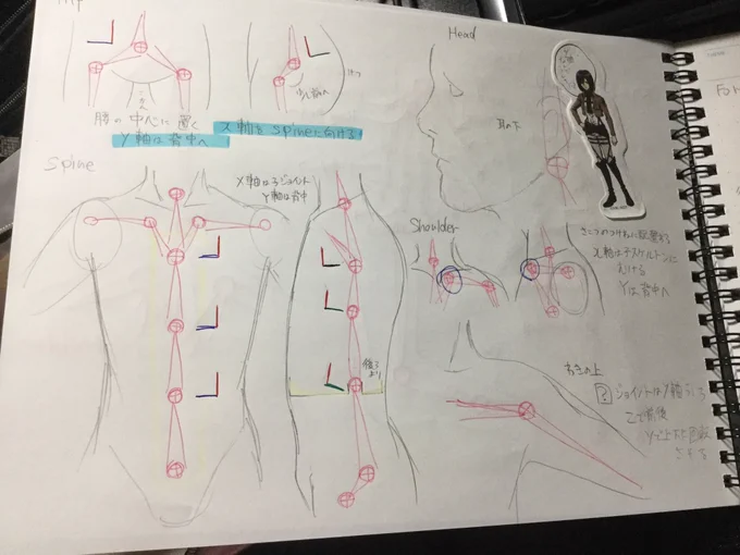 英語2と3しか取ったことのないクリーチャーなので命名する際に「mune」「kosi」とか自分さえ分かればいい名前にしてたのいい加減恥ずかしくなってきたからリグについて基礎的なところから勉強しているんだがジョイントの方向はなんでハチャメチャなのか分からないわ制御法によって違うんか 