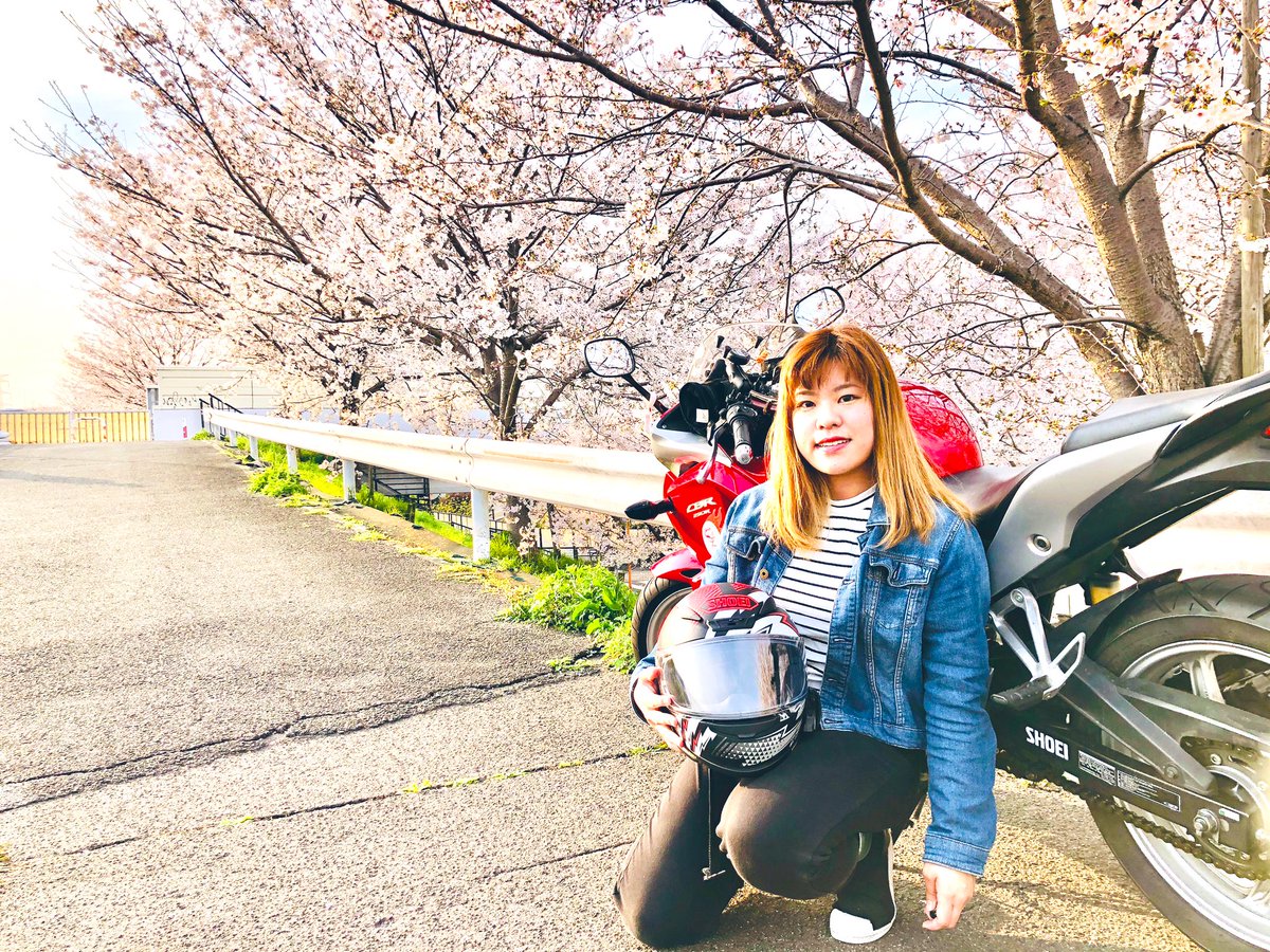 cbr25010's tweet photo. ＃桜　
桜が満開だぁ🌸🌸

#CBR https://t.co/vhv4jiLgu6