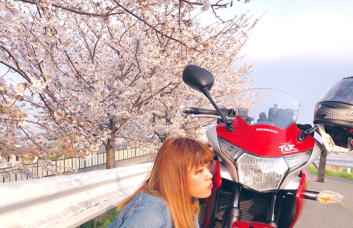 cbr25010's tweet photo. ＃桜　
桜が満開だぁ🌸🌸

#CBR https://t.co/vhv4jiLgu6