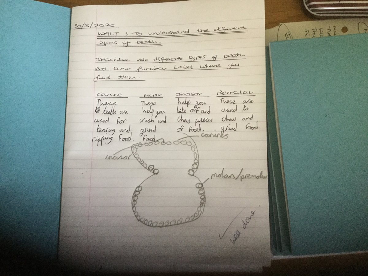 sjvblackpool's tweet photo. Some more great work #SJVClass4T #SJVclass4A https://t.co/PHmvng3L67